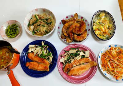 減量したい方向け!食事サポート